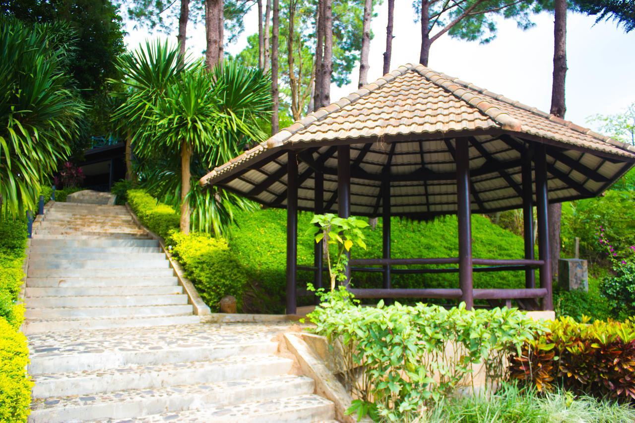Bird Land Resort Кхао-Кхо Екстер'єр фото